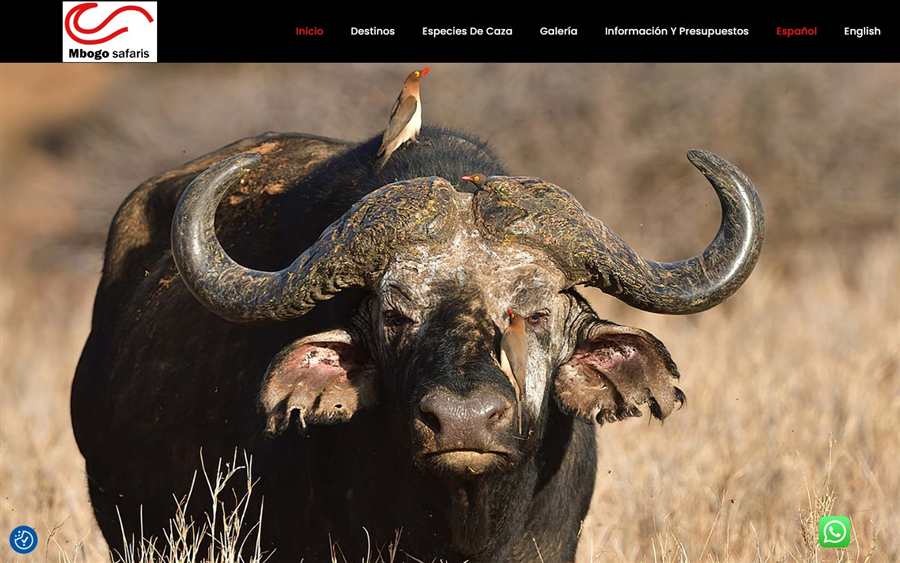 Imagen del proyecto Mbogo Safaris